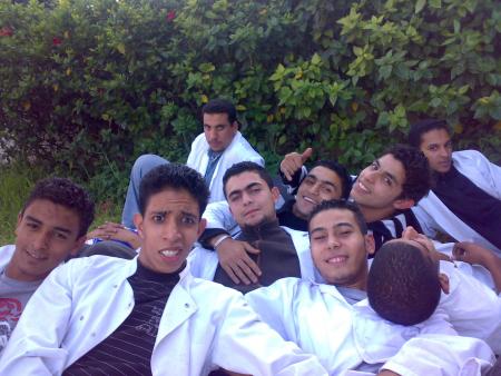 FI12 racriation